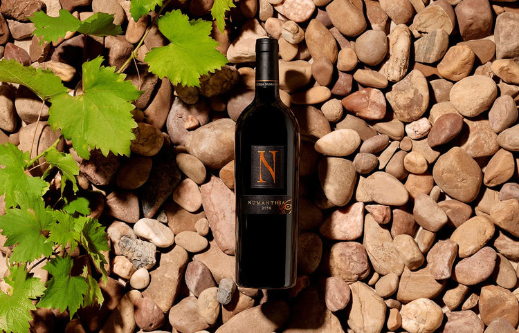 Bodega Numanthia