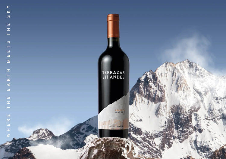 Terrazas de los Andes
