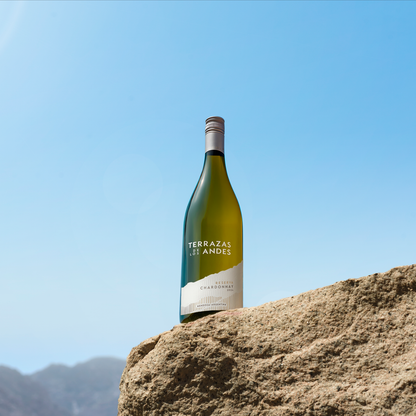 Terrazas Reserva Chardonnay 2025 6 bottles Case Offer