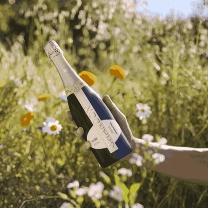 Chandon Rosé 6 Bottles Bundle Set