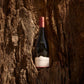 Cloudy Bay Pinot Noir 2022 6 Bottles Bundle Set