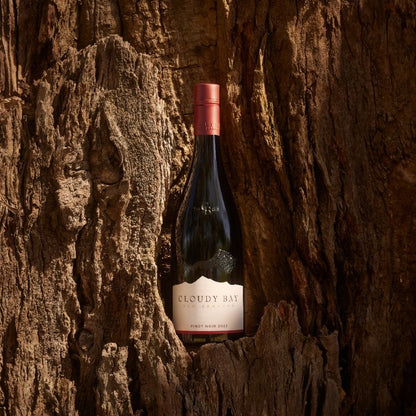 Cloudy Bay Pinot Noir 2022 6 Bottles Bundle Set