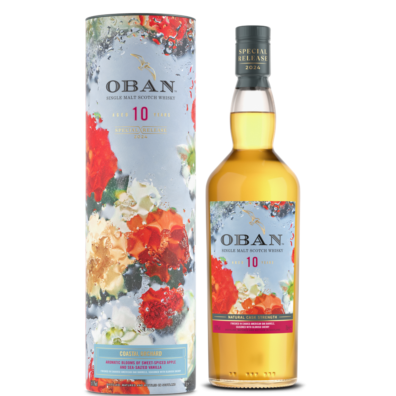 Oban Special Releases 2024 - 11 YO Coastal Orchard