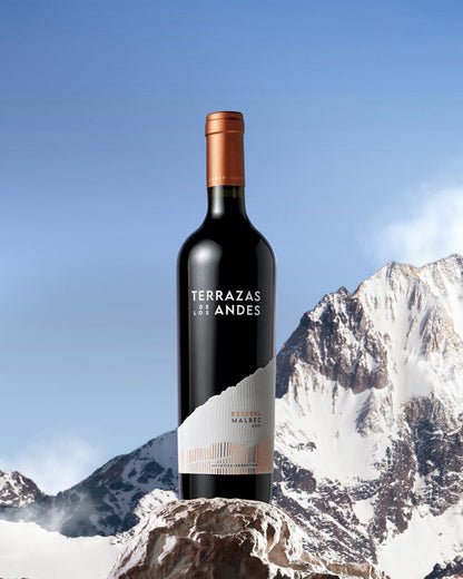 Terrazas Reserva Malbec 2022 6 bottles Case Offer