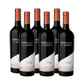 Terrazas Reserva Malbec 2021 6 bottles Case Offer